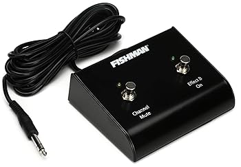 Amazon.com: Fishman Loudbox Performer BT 180-Watt 1x5 Inches